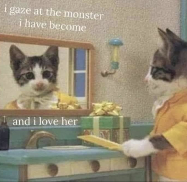 A fluffy cat looking at herself in the mirror. Caption is, I gaze at the monster I have become and I love her 